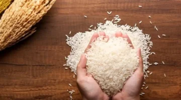 استقرار الأسواق العالمية.. أسعار تصدير الأرز تحافظ على مستوياتها في الهند وفيتنام